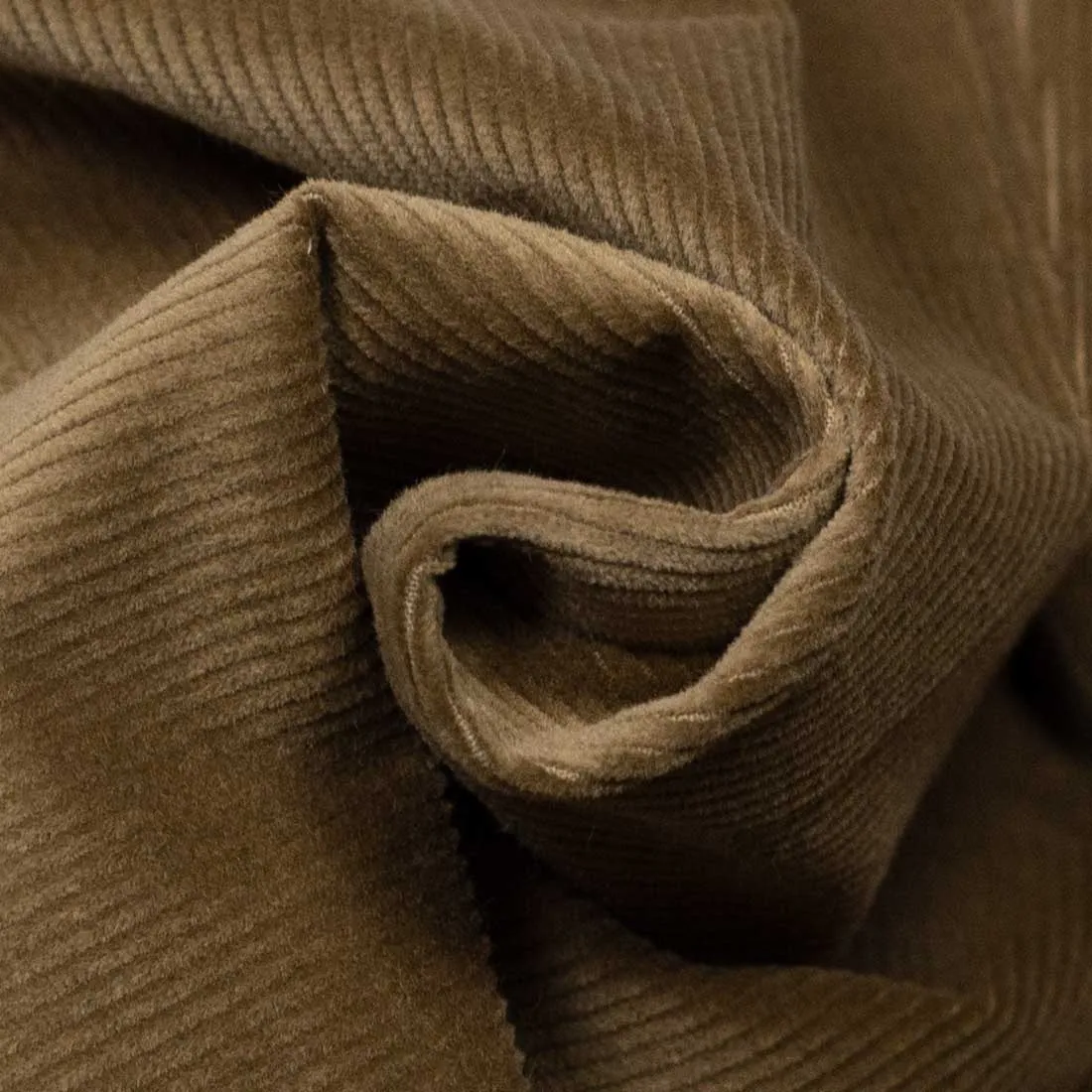 x Sartoria Carrara: Sport coat in tan Loro Piana cotton and wool corduroy (separates)